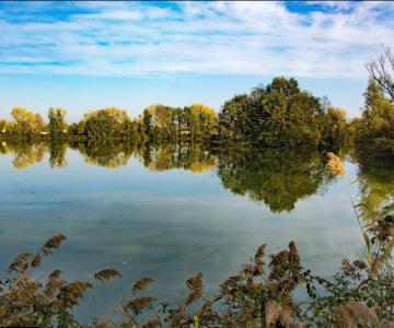 Laghetto Oasi Cornara Piombino Dese