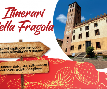 Itinerari della fragola Camposampiero