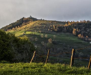 Verso il Monte Purga