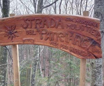 strada del patriarca