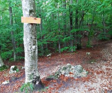 Giro delle Contrade Alte