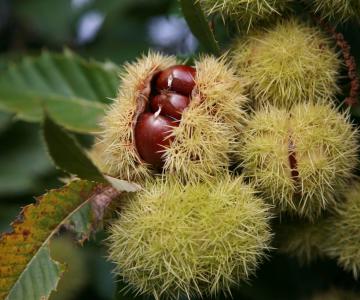 Immagine di copertina