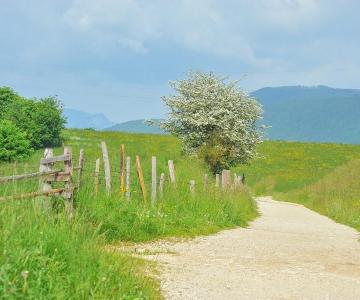 strada vecchia ferrovia