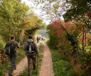 Un sentiero di Breonio