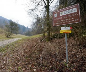 Museo del Bosco
