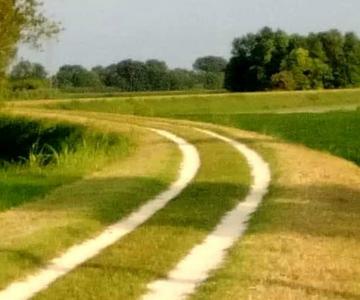 La campagna produttiva di Bibione