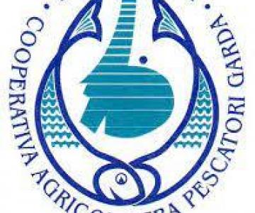 Cooperativa fra pescatori