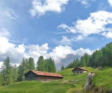 Casera bur con civetta sullo sfondo