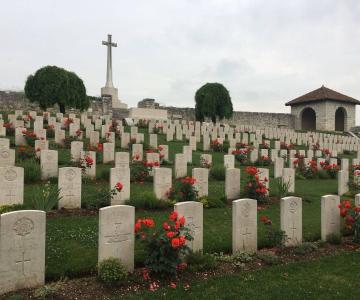 Cimitero fiori rossi