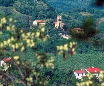 Vista su Abbazia di Praglia