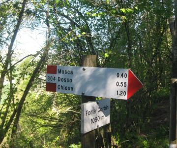 Sentiero 635 Valdastico