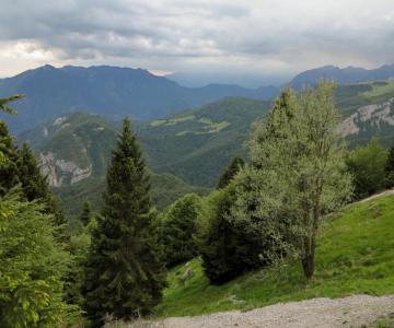 Percorso Monte Campomolon