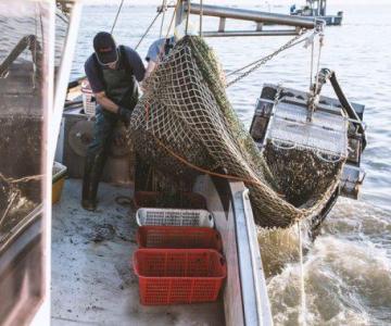 Soc.Coop San Marco_01