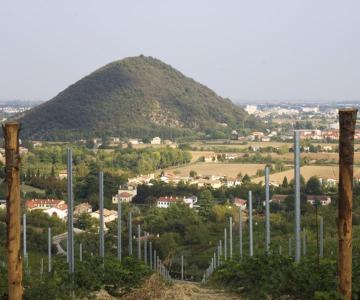 Monte Ortone