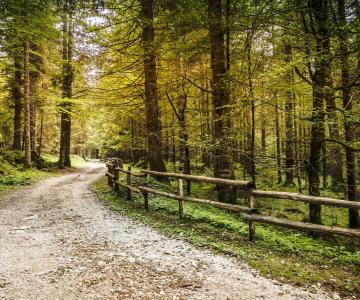 Antico troi dei cimbri