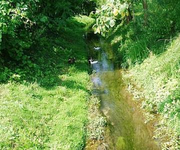 Risorgive Fontane Bianche Santa Giustina in Colle
