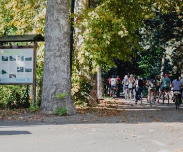 Anello città murata