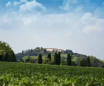 Il Monte San Daniele
