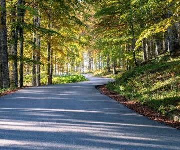 Altopiano del Cansiglio