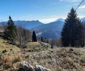 Sentiero dei Tronconi