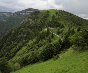 Passo della Vena