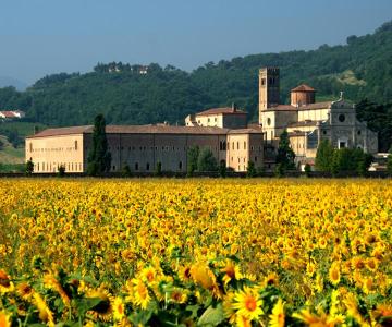 Abbazia di Praglia, inizio del sentiero