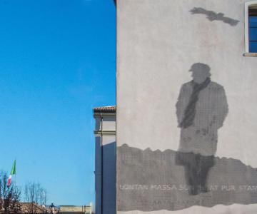 Ombra in rete di Zanzotto