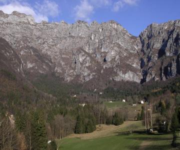 Anello pedavena lamen