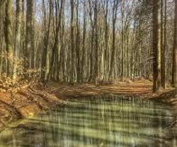 sant'antonio tiriton