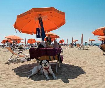 La spiaggia di Pluto