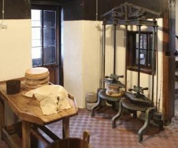 Museo Latteria Feder