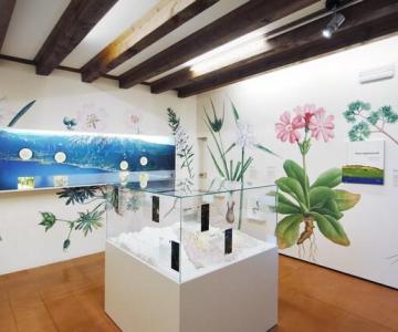 Museo di Storia Naturale 1