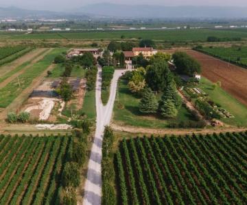 Agriturismo La Borina