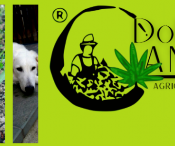 logo Dolomiti Canapa