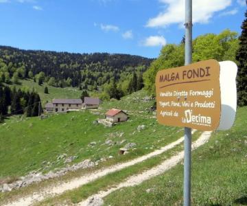 Malga Fondi