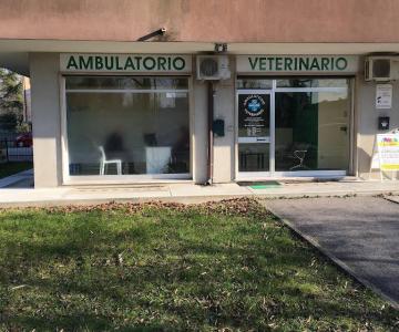 Clkinica veterinaria Furegon