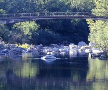Foto di Vivere Calvene