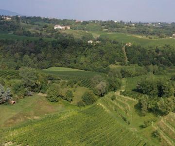 Tenuta San Benedetto