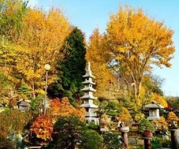 Giardino Museo Bonsai della Serenità