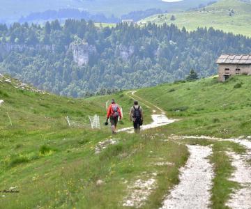 Da Bocca di Selva ai Folignani