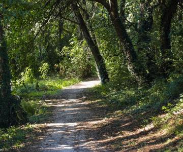 Parco del Fiumicello