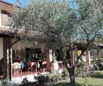 Ristorante Pino 2