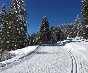 centro fondo campoolongo