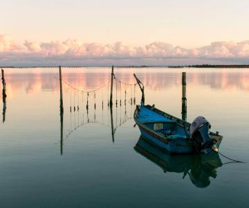 Sacca degli Scardovari 1