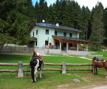 Foto Rifugio Bar Alpino