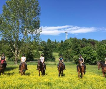 circolo ippico conegliano