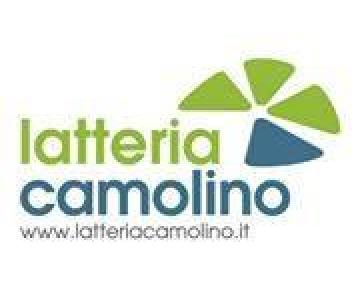 Logo lattera camolino