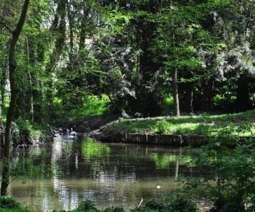 Parco di Villa Labia