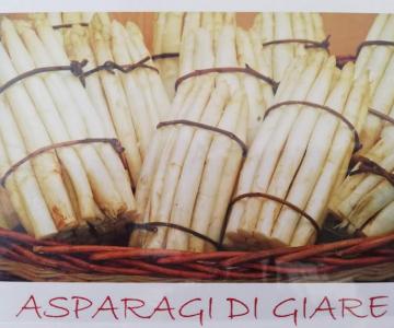 asparago di giare