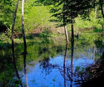 Sorgente delle Volpi